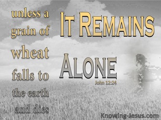 John 12:24 Unless A Grain Of Wheat Dies (yellow)